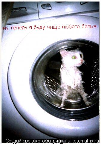Котоматрица: ну теперь я буду чище любого белья