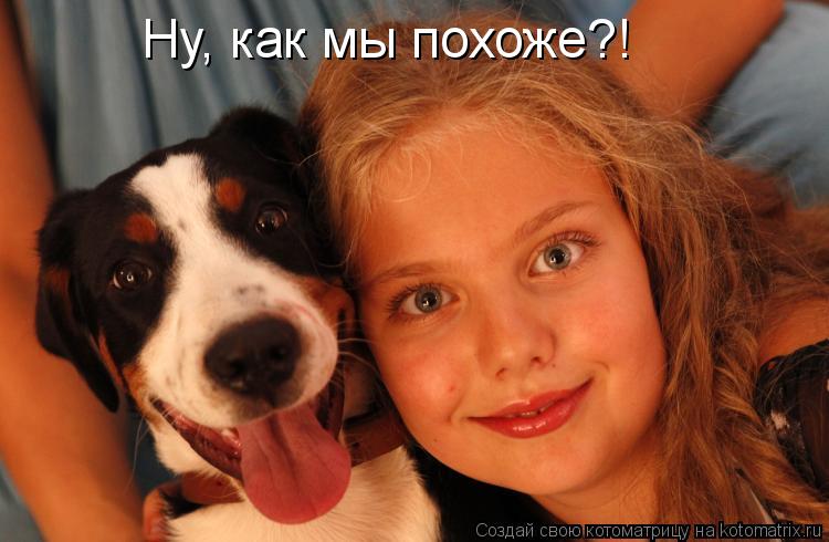 Котоматрица: Ну, как мы похоже?!