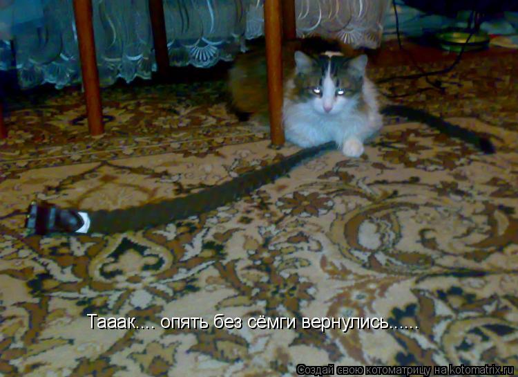 Котоматрица: Тааак.... опять без сёмги вернулись......