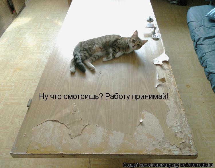 Котоматрица: Ну что смотришь? Работу принимай!