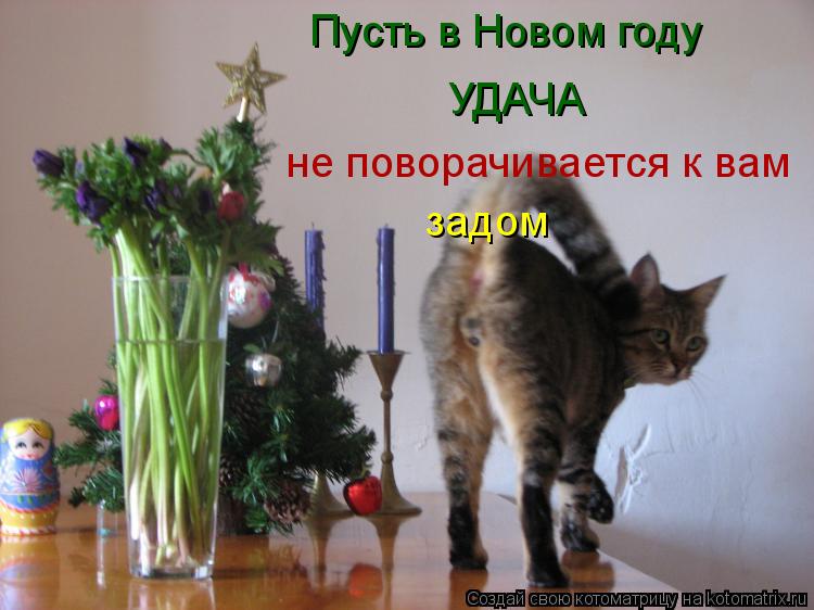 Котоматрица: Пусть в Новом году  УДАЧА не поворачивается к вам задом