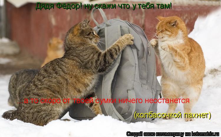 Котоматрица: Дядя Фёдор! ну скажи что у тебя там! ...а то скоро от твоей сумки ничего неостанется (колбасочкой пахнет)