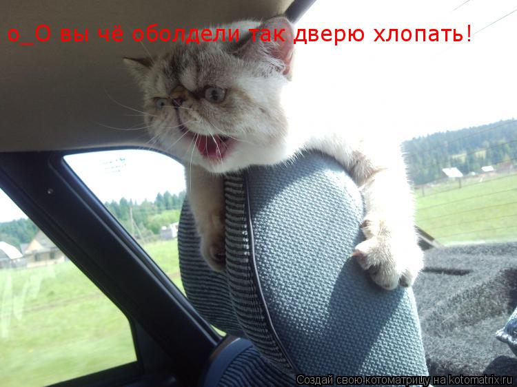 Котоматрица: о_О вы чё оболдели так дверю хлопать!