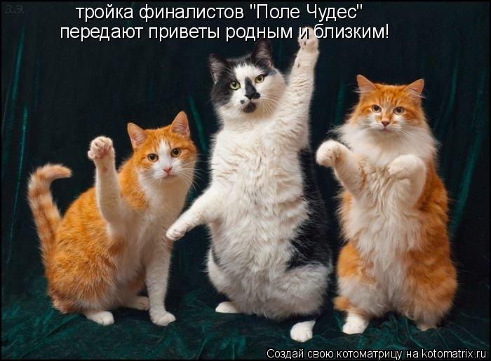 Котоматрица: тройка финалистов "Поле Чудес" передают приветы родным и близким!