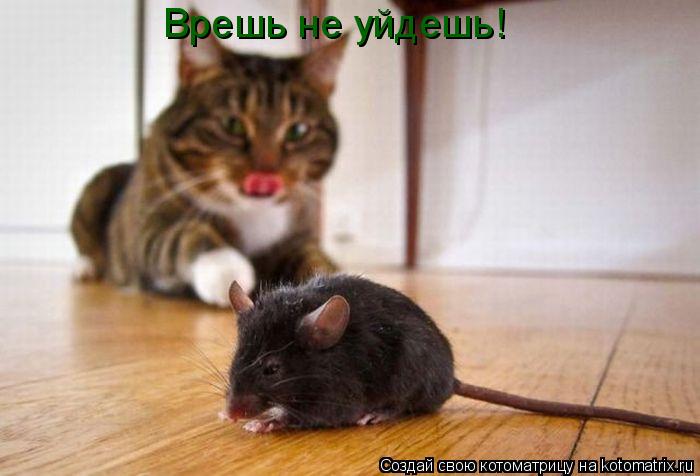 Котоматрица: Врешь не уйдешь!
