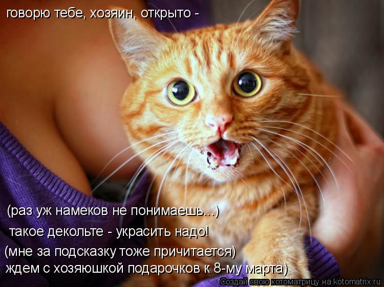 Котоматрица: говорю тебе, хозяин, открыто -  (раз уж намеков не понимаешь...) такое декольте - украсить надо! (мне за подсказку тоже причитается) ждем с хозяю