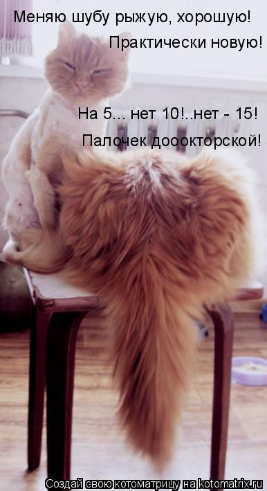 Котоматрица: Меняю шубу рыжую, хорошую! Практически новую! На 5... нет 10!..нет - 15!  Палочек дооокторской!