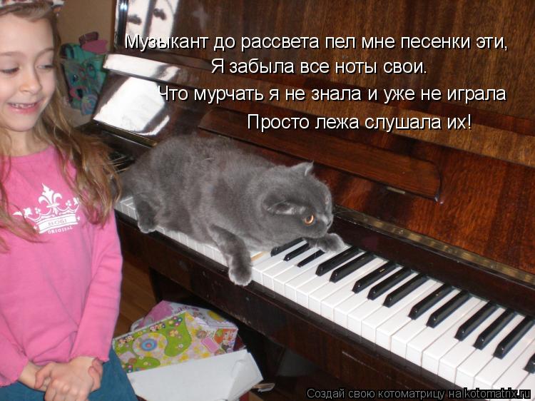 Котоматрица: Я забыла все ноты свои. Что мурчать я не знала и уже не играла Просто лежа слушала их! Музыкант до рассвета пел мне песенки эти,