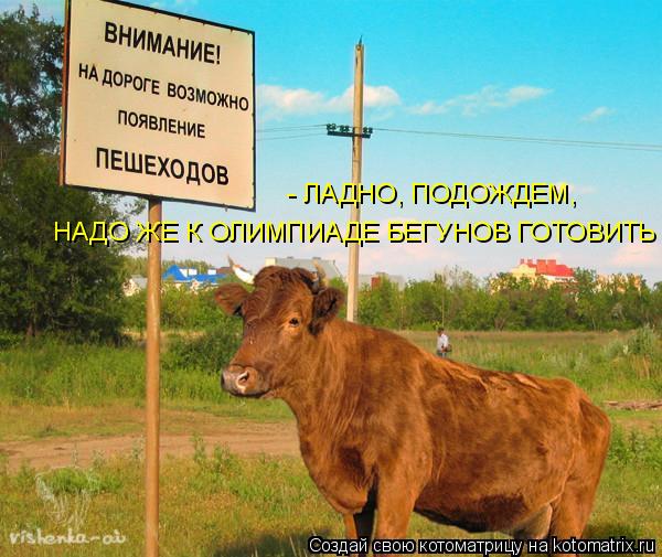 Котоматрица: НАДО ЖЕ К ОЛИМПИАДЕ БЕГУНОВ ГОТОВИТЬ - ЛАДНО, ПОДОЖДЕМ,