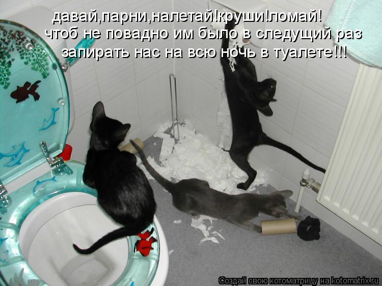 Котоматрица: давай,парни,налетай!круши!ломай! чтоб не повадно им было в следущий раз запирать нас на всю ночь в туалете!!!