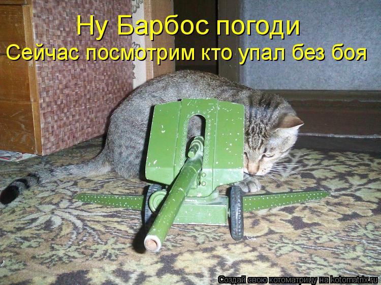 Котоматрица: Ну Барбос погоди  Сейчас посмотрим кто упал без боя