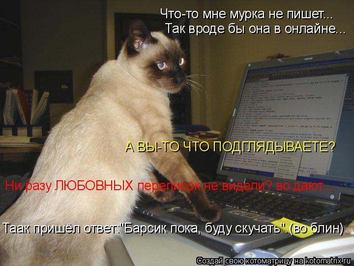 Котоматрица: Что-то мне мурка не пишет...  Так вроде бы она в онлайне... А ВЫ-ТО ЧТО ПОДГЛЯДЫВАЕТЕ? Ни разу ЛЮБОВНЫХ переписок не видели? во дают... Таак пришё