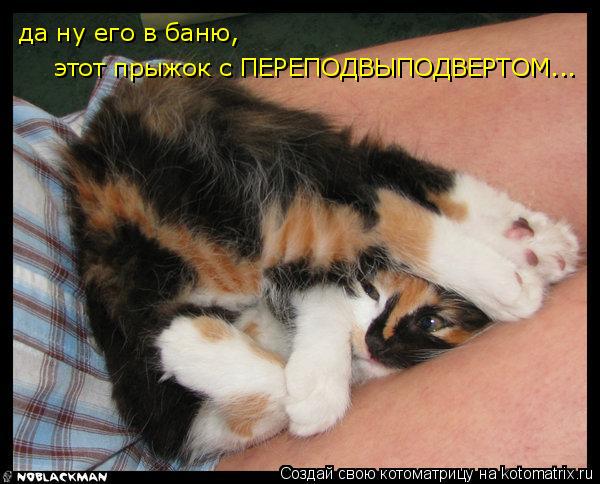 Котоматрица: этот прыжок с ПЕРЕПОДВЫПОДВЕРТОМ... да ну его в баню,