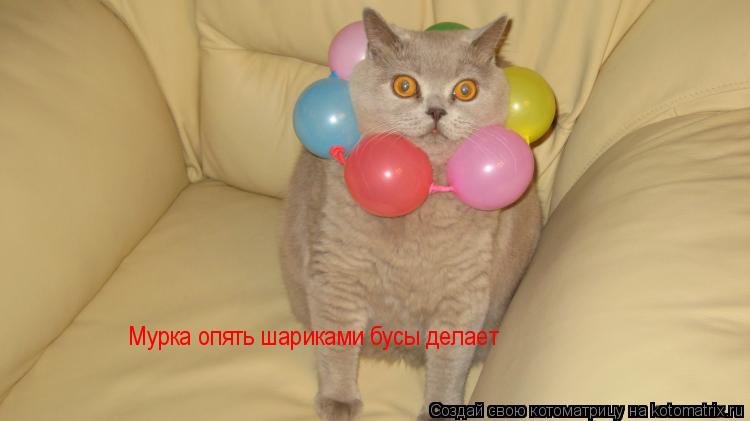 Котоматрица: Мурка опять шариками бусы делает