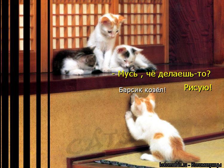 Котоматрица: - Мусь , чё делаешь-то? Рисую! Барсик козёл!