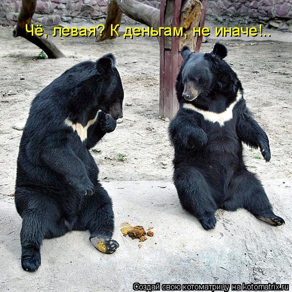 Котоматрица: Чё, левая? К деньгам, не иначе!..