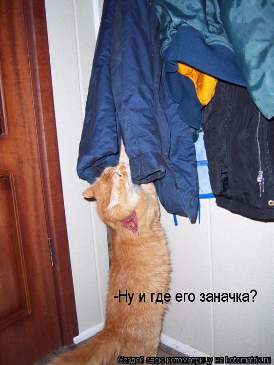 Котоматрица: -Ну и где его заначка?