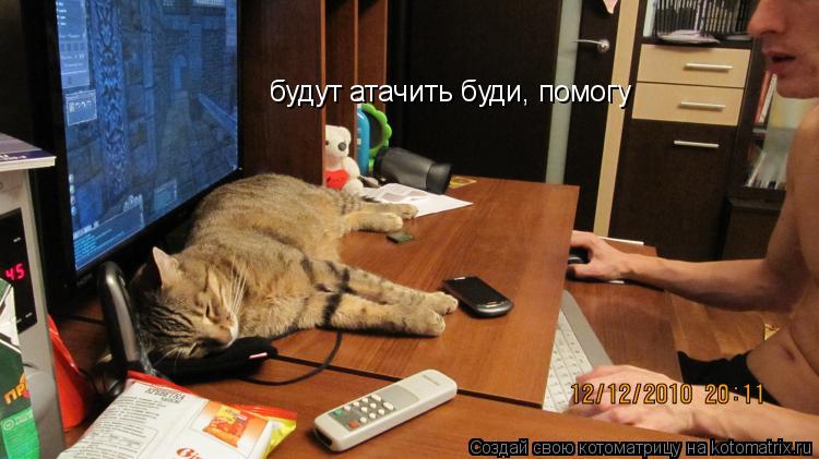 Котоматрица: будут атачить буди, помогу