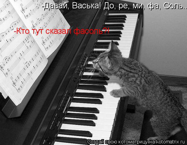Котоматрица: -Давай, Васька! До, ре, ми, фа, Соль... -Кто тут сказал фасоль?!