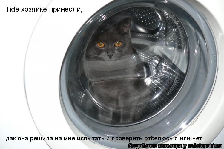 Котоматрица: дак она решила на мне испытать и проверить отбелюсь я или нет! Tide хозяйке принесли,