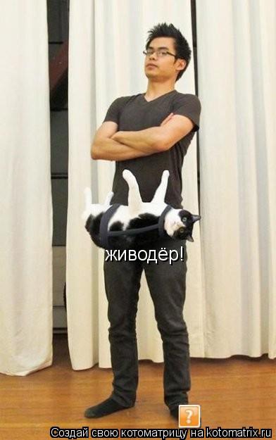 Котоматрица: живодёр!
