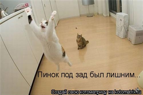 Котоматрица: Пинок под зад был лишним...