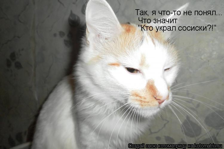 Котоматрица: Так, я что-то не понял... Что значит "Кто украл сосиски?!"