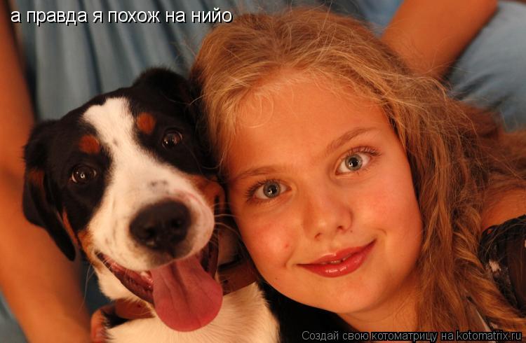 Котоматрица: а правда я похож на нийо а правда я похож на нийо
