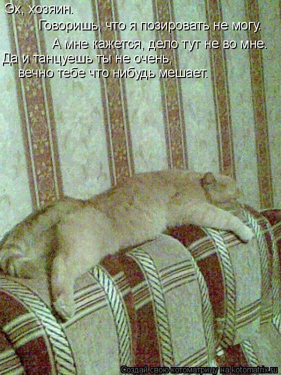 Котоматрица: Говоришь, что я позировать не могу. Эх, хозяин. А мне кажется, дело тут не во мне. Да и танцуешь ты не очень,  вечно тебе что нибудь мешает.