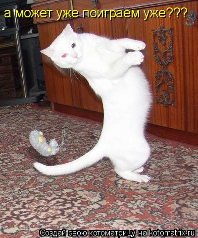 Котоматрица: а может уже поиграем уже???