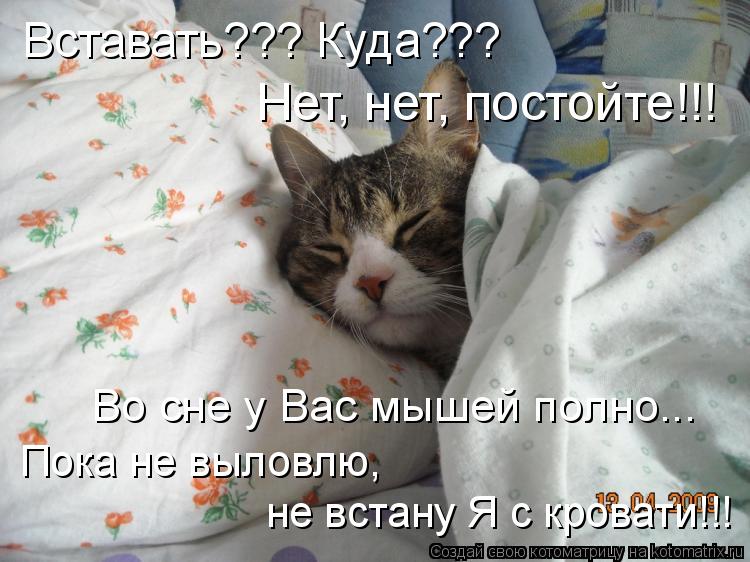 Котоматрица: Вставать??? Куда??? Нет, нет, постойте!!! Во сне у Вас мышей полно... Пока не выловлю,  не встану Я с кровати!!!