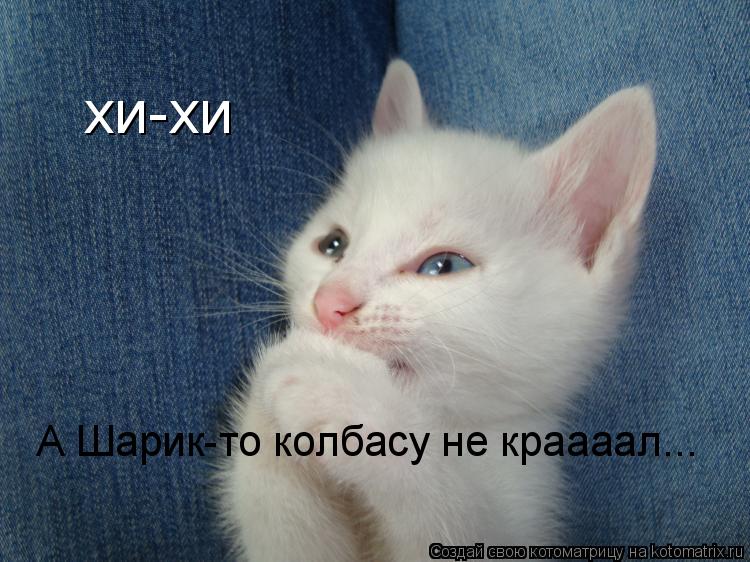 Котоматрица: хи-хи А Шарик-то колбасу не краааал...
