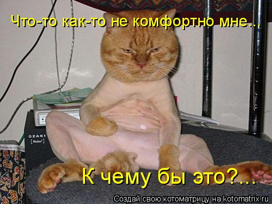 Котоматрица: Что-то как-то не комфортно мне... К чему бы это?...