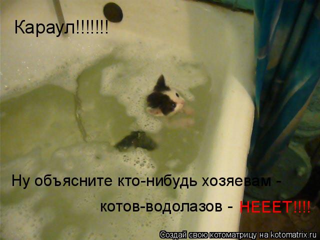 Котоматрица: Караул!!!!!!! Ну объясните кто-нибудь хозяевам -  котов-водолазов - НЕЕЕТ!!!!