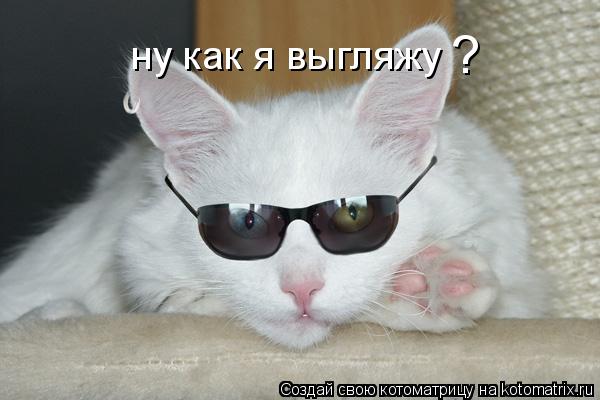 Котоматрица: ну как я выгляжу ?