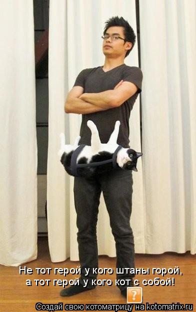 Котоматрица: Не тот герой у кого штаны горой, а тот герой у кого кот с собой!
