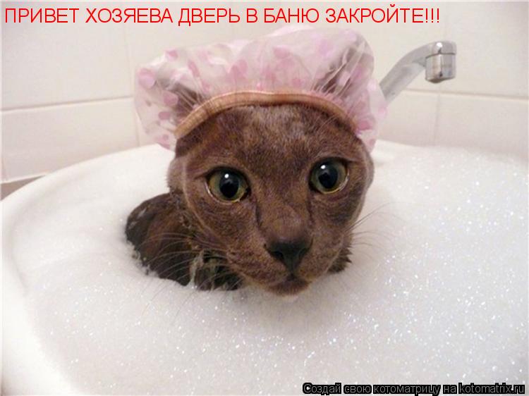Котоматрица: ПРИВЕТ ХОЗЯЕВА ДВЕРЬ В БАНЮ ЗАКРОЙТЕ!!!