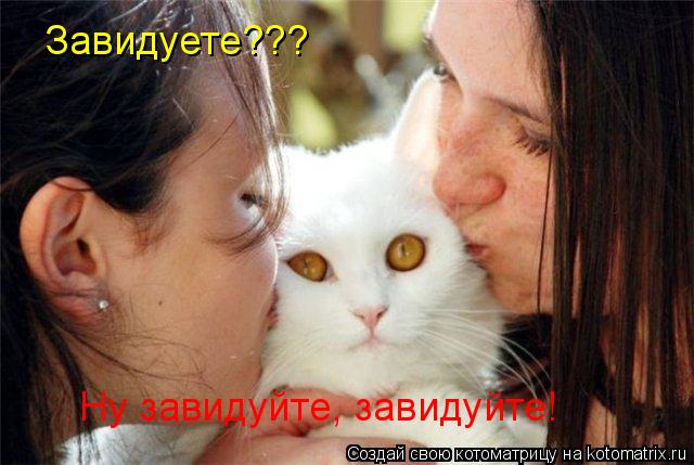 Котоматрица: Завидуете??? Ну завидуйте, завидуйте!
