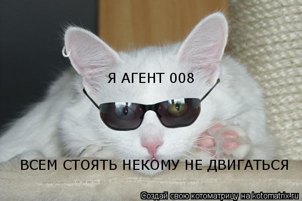 Котоматрица: Я АГЕНТ 008 ВСЕМ СТОЯТЬ НЕКОМУ НЕ ДВИГАТЬСЯ