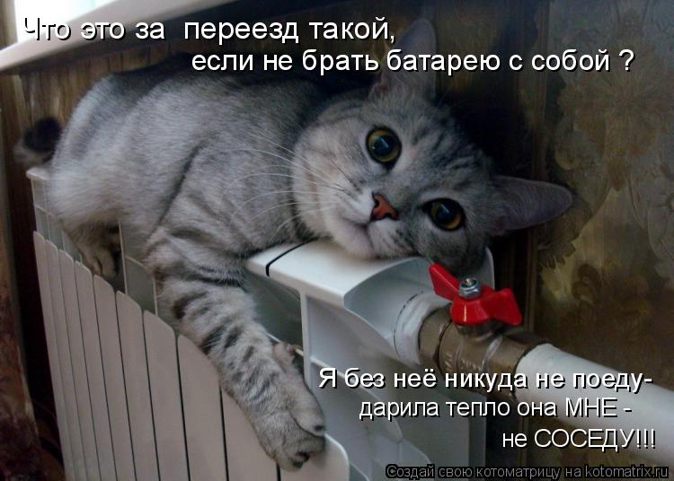 Котоматрица: Что это за  переезд такой, если не брать батарею с собой ? Я без неё никуда не поеду- дарила тепло она МНЕ - не СОСЕДУ!!!