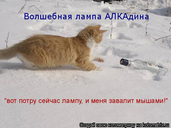 Котоматрица: Волшебная лампа АЛКАдина "вот потру сейчас лампу, и меня завалит мышами!"
