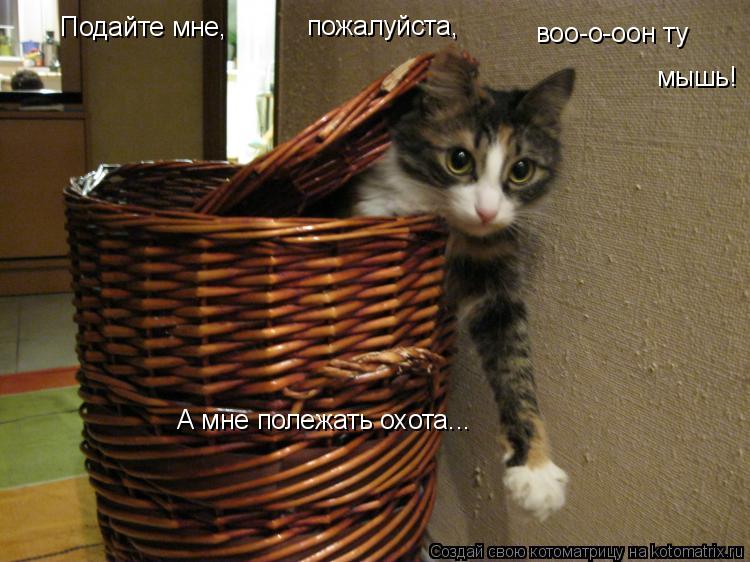 Котоматрица: Подайте мне, пожалуйста, воо-о-оон ту мышь! А мне полежать охота...
