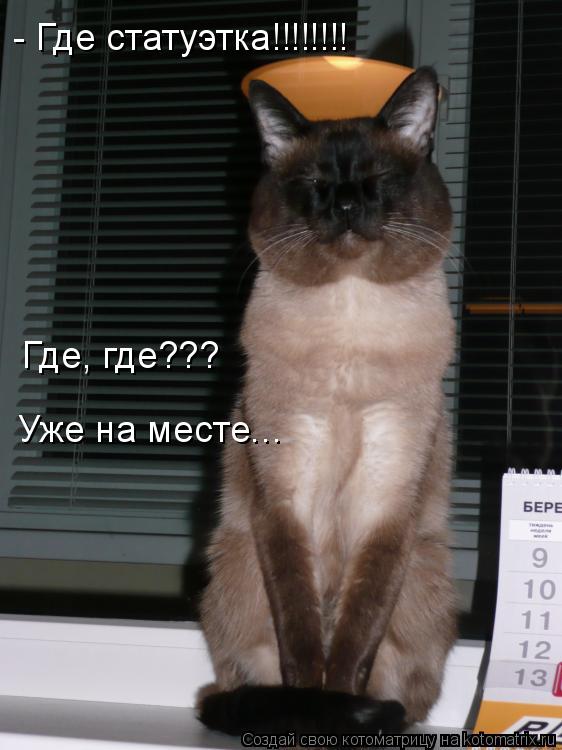 Котоматрица: - Где статуэтка!!!!!!!!   Где, где??? Уже на месте...