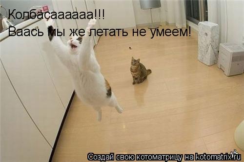 Котоматрица: Колбасаааааа!!! Ваась мы же летать не умеем!