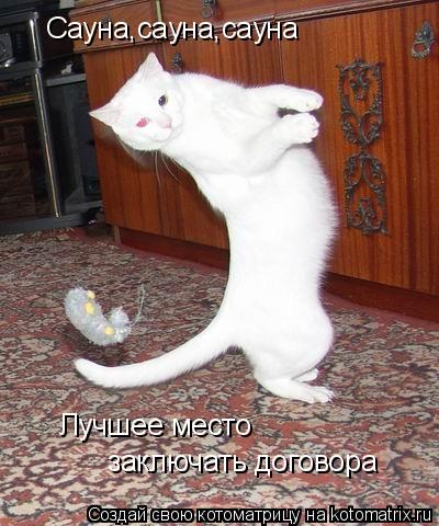 Котоматрица: Сауна,сауна,сауна Лучшее место заключать договора