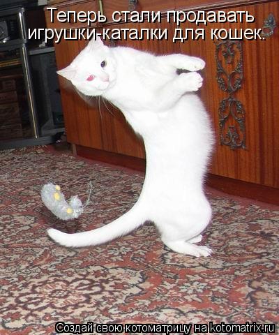 Котоматрица: Теперь стали продавать  игрушки-каталки для кошек.