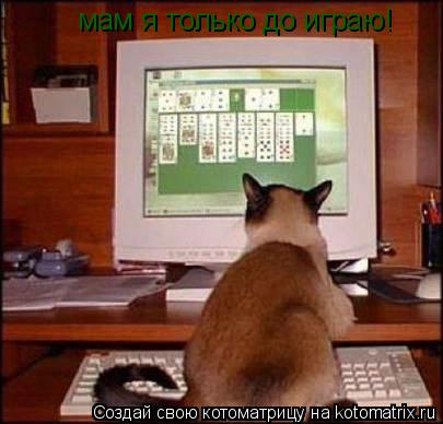 Котоматрица: мам я только до играю!