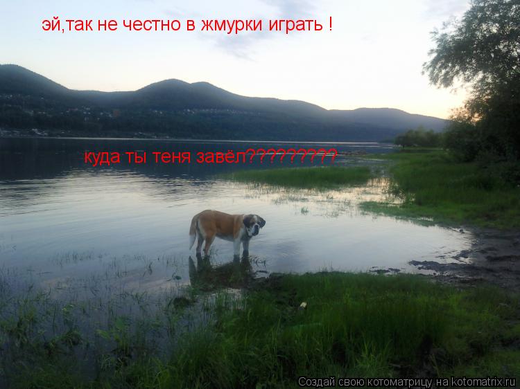 Котоматрица: эй,так не честно в жмурки играть ! куда ты теня завёл?????????