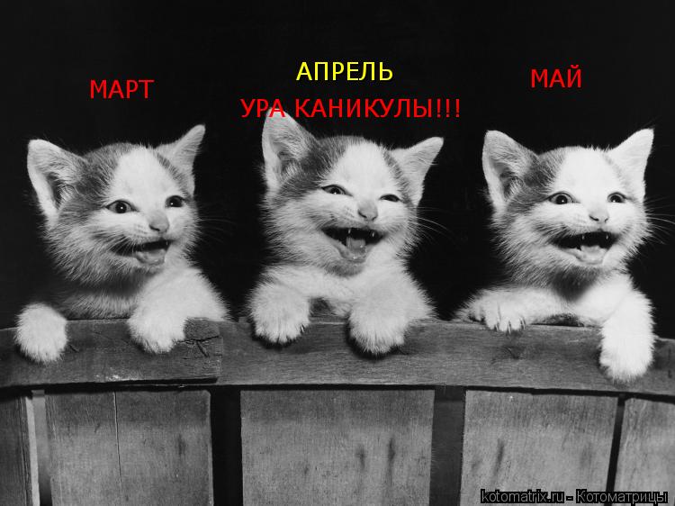 Котоматрица: МАРТ АПРЕЛЬ МАЙ УРА КАНИКУЛЫ!!!