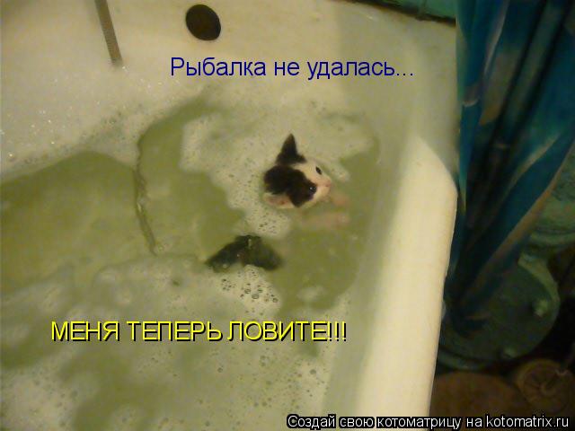 Котоматрица: Рыбалка не удалась... МЕНЯ ТЕПЕРЬ ЛОВИТЕ!!!